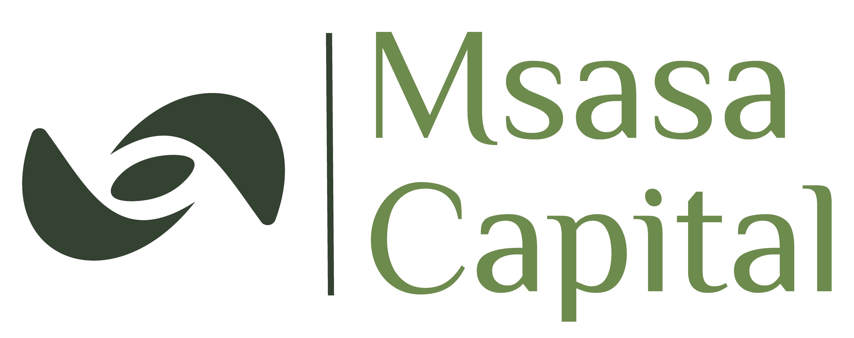 Msasa Capital